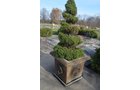 Property photo 132 - PERSONAL PROPERTY AUCTION IN ALLEN COUNTY, INDIANA